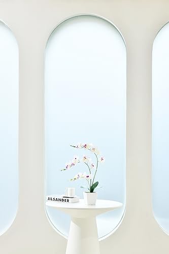 Faux Orchid in Vase Tall Artificial Orchid in Ceramic Vase Tall Silk Orchids with Stems Real Look Potted Fake Phalaenopsis