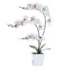 Faux Orchid in Vase Tall Artificial Orchid in Ceramic Vase Tall Silk Orchids with Stems Real Look Potted Fake Phalaenopsis