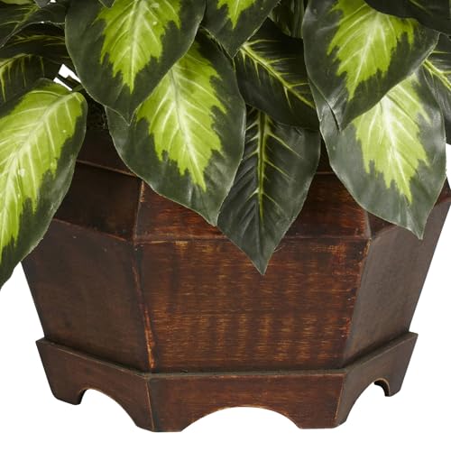 6639 24in. Golden Dieffenbachia Silk Plant, Green