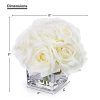 Rose Artificial Flowers in Vase, Fake Flowers Arrangements in Vase with Faux Water for Wedding, Dining Table (Cream)