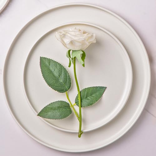 Stoneware Dinnerware Sets for 6,Reactive Ceramic Plates and Bowls Set,Highly Chip and Crack Resistant | Dishwasher & Microwave