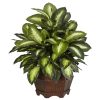 6639 24in. Golden Dieffenbachia Silk Plant, Green