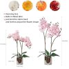 Artificial Orchid Flower Plant Real Touch Faux Orchids in Ceramic Vase Pink 19.7'' Fake Phalaenopsis Flower Arrangement