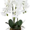 Nearly Natural 4570 Triple Phalaenopsis Orchid in Glass Vase,Green/White