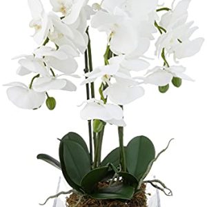 Nearly Natural 4570 Triple Phalaenopsis Orchid in Glass Vase,Green/White