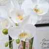 Orchids Artificial Fake Flowers with Vase for Table Centerpieces, Fake Orchids in Pots Orquideas Real Touch Flowers Large Vivid