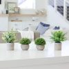 Artificial Plants for Home Decor Indoor. 4 Mini Plants, Rosemary Faux Plant Decor, Eucalyptus Plant, Grass Plants. Small Fake