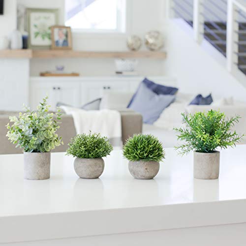 Artificial Plants for Home Decor Indoor. 4 Mini Plants, Rosemary Faux Plant Decor, Eucalyptus Plant, Grass Plants. Small Fake