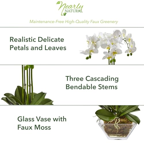 Nearly Natural 4570 Triple Phalaenopsis Orchid in Glass Vase,Green/White