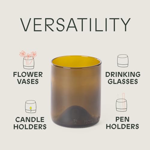 IWAS Upcycled Olive Drinking Glasses | 250 ML | 8.45 OZ | Set of 6 | Sustainable Water Glasses | Environmentally Friendly Dark