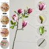 Magnolia Artificial Flowers Branches (Not Included Vase), Faux Fake 20 Heads Magnolias Stems Floral Arrangement Home Decor for