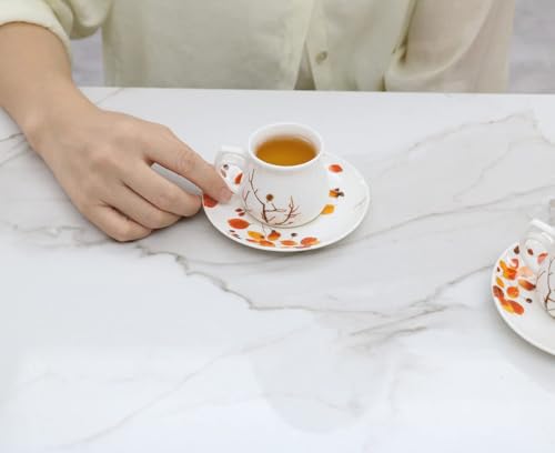 12 Pieces Fine Porcelain Espresso Cups and Saucers set of 6,2.5 oz,Espresso Shot Cup set for 6 Person,Antumn Leaves Parttern