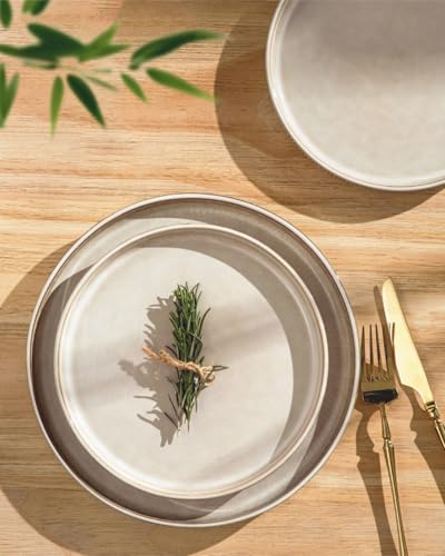Stoneware Dinnerware Sets for 4,Round Reactive Glaze Ceramic Plates and Bowls Set,Highly Chip and Crack Resistant | Dishwasher &