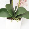 Orchids Artificial Fake Flowers with Vase for Table Centerpieces, Fake Orchids in Pots Orquideas Real Touch Flowers Large Vivid