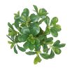 Artificial Potted Plant Leaves, 16.9" Artificial Shrubs Plants Arrangements Fake Eucalyptus Leaves with Vase Faux Greenery