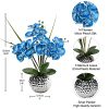Orchids Artificial Flowers, 20'' Blue Faux Orchid Flowers with Silver Vase Fake Phalaenopsis Silk Flowers for Home Coffee Table