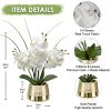 Artificial White Phalaenopsis Orchid Flower Arrangements Faux Orchid Flower in Gold Pot Orchid Centerpiece for Dining Room Table