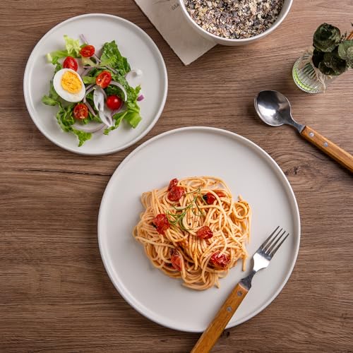 Stoneware Dinnerware Sets for 6,Reactive Ceramic Plates and Bowls Set,Highly Chip and Crack Resistant | Dishwasher & Microwave