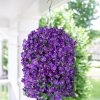 Artificial Faux Hanging Flowers Plants Basket for Spring Summer Outdoor Porch Decor, Fake Silk Purple Morning Glory Long Vine in