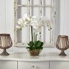 Nearly Natural 4570 Triple Phalaenopsis Orchid in Glass Vase,Green/White