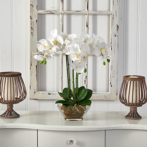 Nearly Natural 4570 Triple Phalaenopsis Orchid in Glass Vase,Green/White