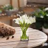 20 Pieces Real Touch Lilies Artificial Flowers with Vase, Faux Calla Lily Flowers Arrangement with Faux Water in Glass Vase for