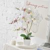 Faux Orchid in Vase Tall Artificial Orchid in Ceramic Vase Tall Silk Orchids with Stems Real Look Potted Fake Phalaenopsis
