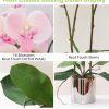 Artificial Orchid Flower Plant Real Touch Faux Orchids in Ceramic Vase Pink 19.7'' Fake Phalaenopsis Flower Arrangement