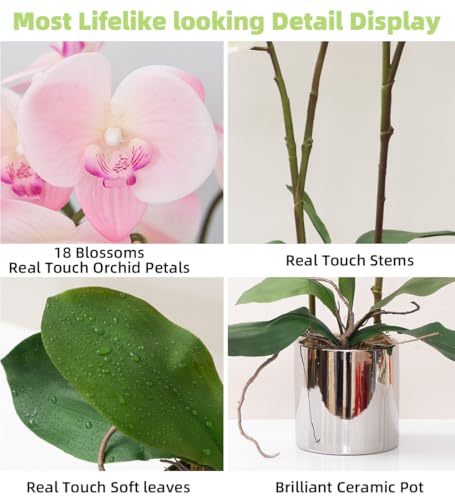 Artificial Orchid Flower Plant Real Touch Faux Orchids in Ceramic Vase Pink 19.7'' Fake Phalaenopsis Flower Arrangement