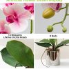 Artificial Orchid Flowers Light Pink Faux Orchids with Ceramic Vase Vivid Fake Phalaenopsis Flower Arrangement Gorgeous