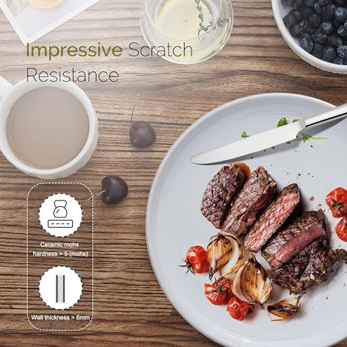 12-Piece Ceramic Plates and Bowls Sets, Farmhouse Dinnerware Sets for 4, Stoneware Dish Set, Scratch Resistant, Dishwasher &