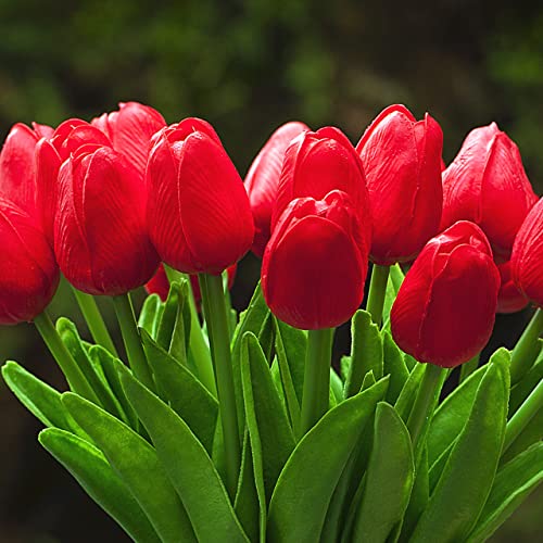 20 Pieces Real Touch Artificial Tulips Flowers in Vase, Fake Red Tulips with Vase and Faux Water for Home Wedding Decoration,