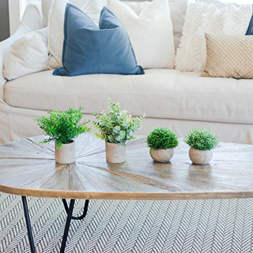 Artificial Plants for Home Decor Indoor. 4 Mini Plants, Rosemary Faux Plant Decor, Eucalyptus Plant, Grass Plants. Small Fake